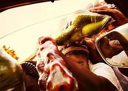 Fruit Vendors