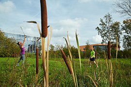 Behörde für Umwelt und Energie